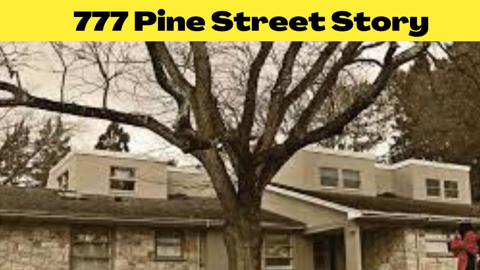 777 Pine Street Story