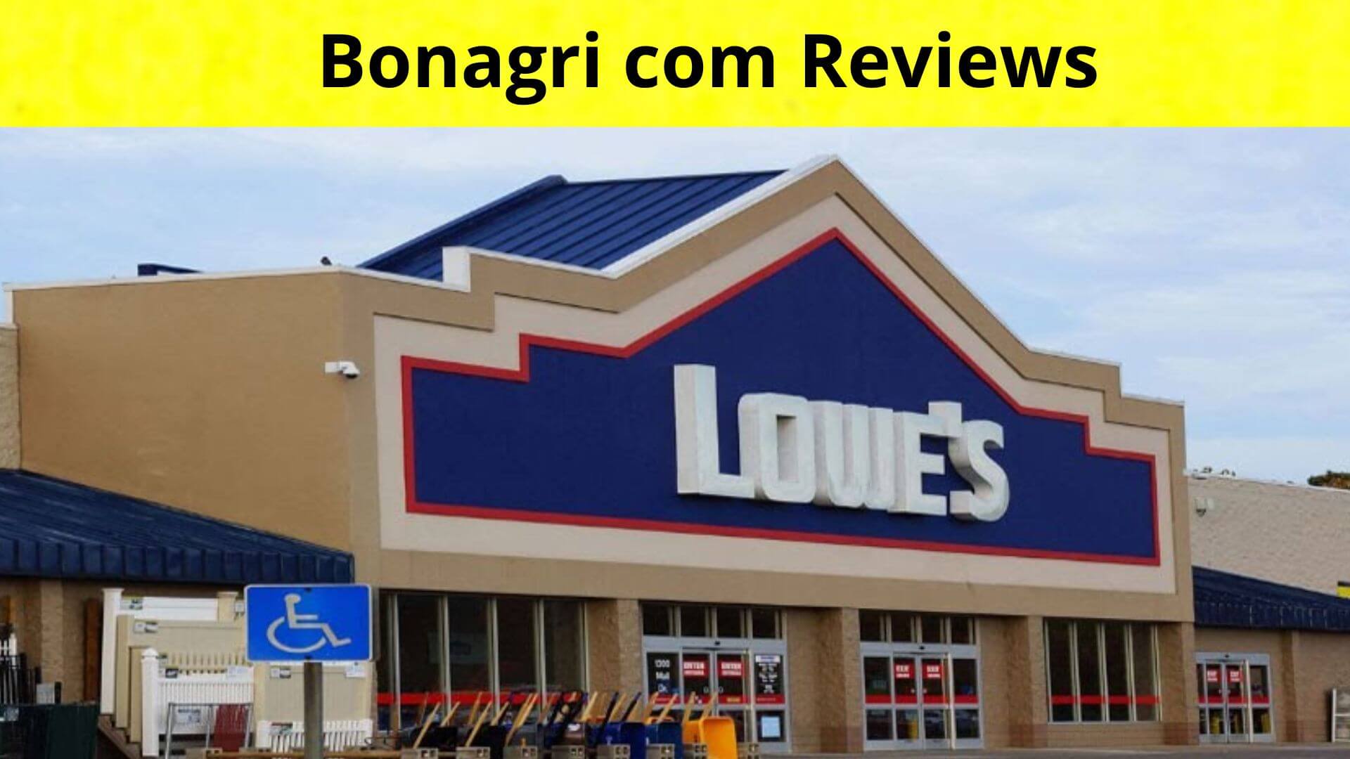 Bonagri com Reviews