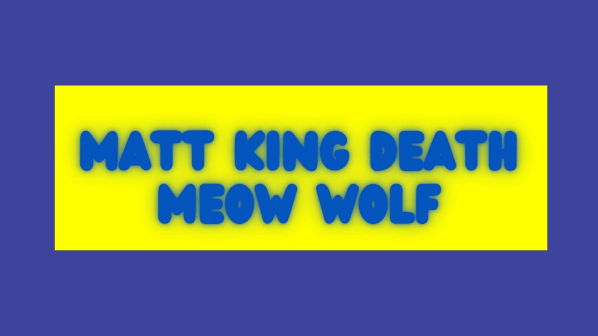Matt King Death Meow Wolf