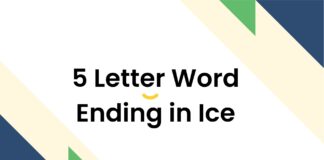 5 Letter Word Ending in Ice