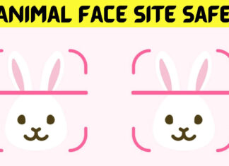 Animal Face Site Safe