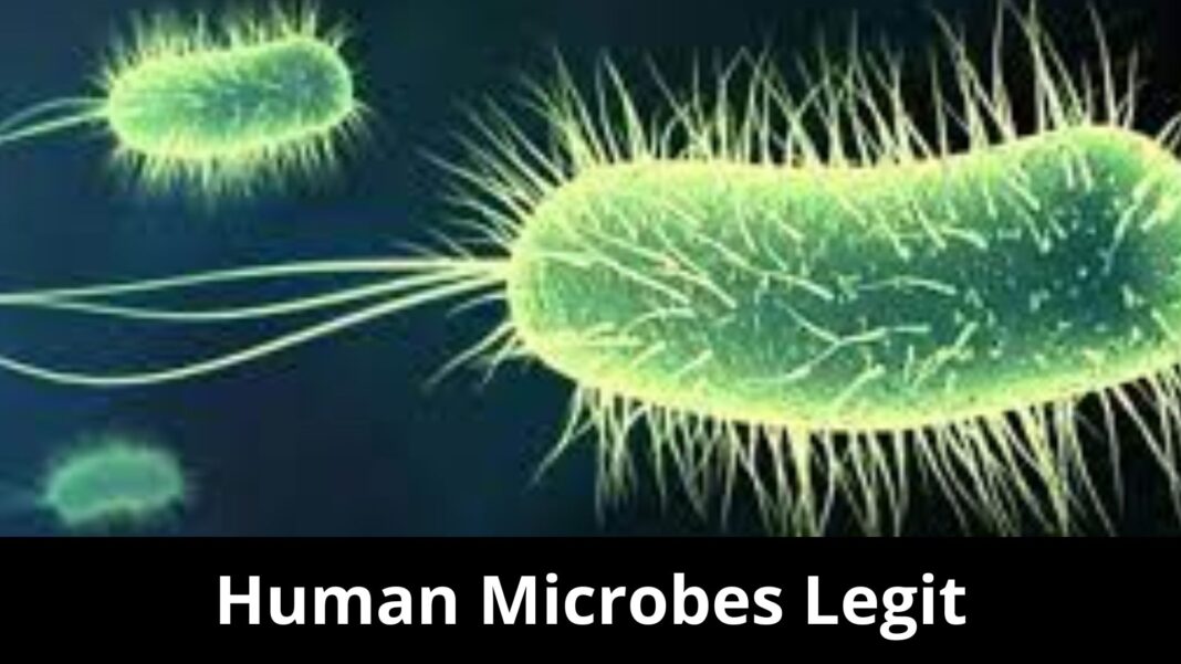 Human Microbes Legit