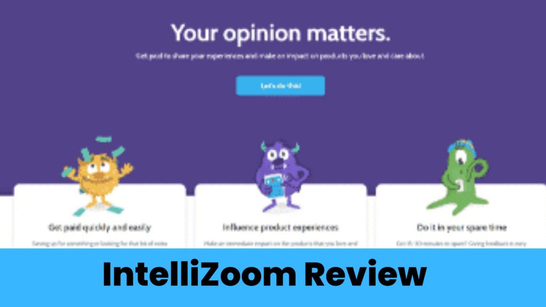 IntelliZoom Review