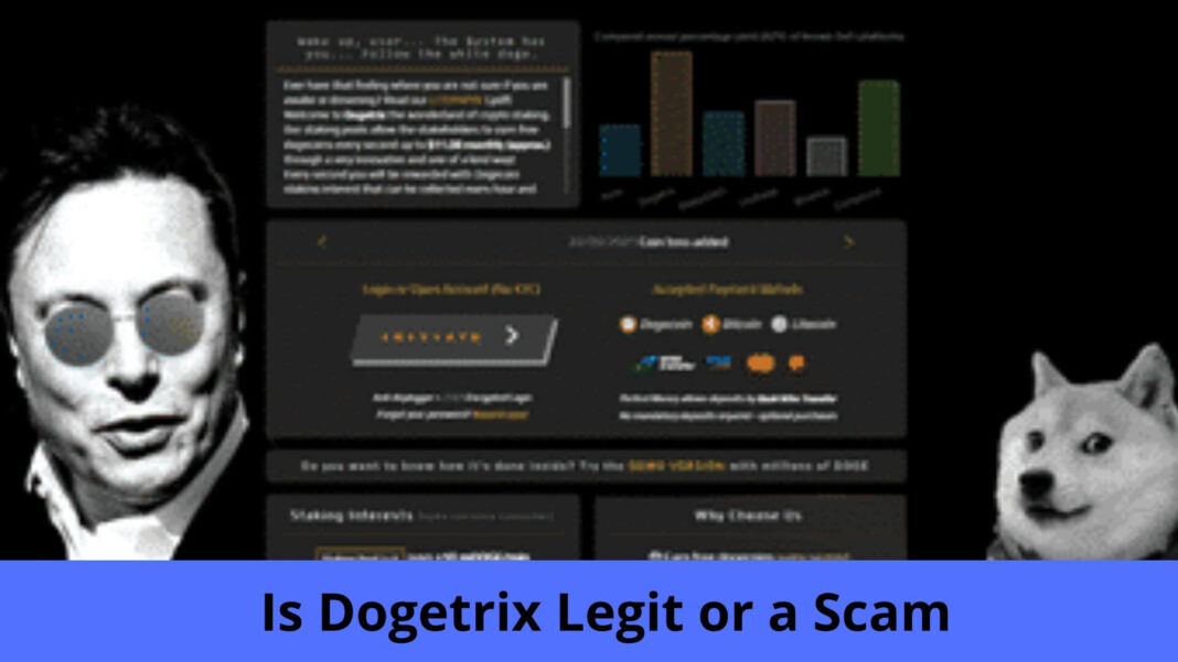 Is Dogetrix Legit or a Scam