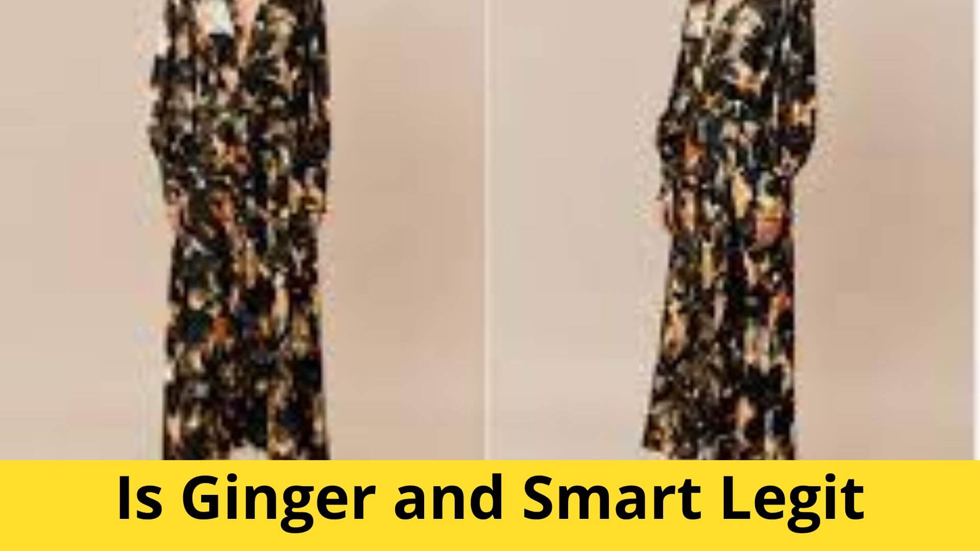 Is Ginger and Smart Legit