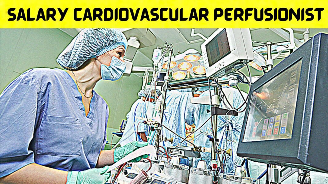 Salary Cardiovascular Perfusionist