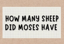 How Many Sheep Did Moses Have