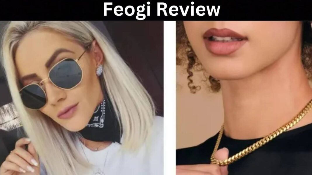 Feogi Review