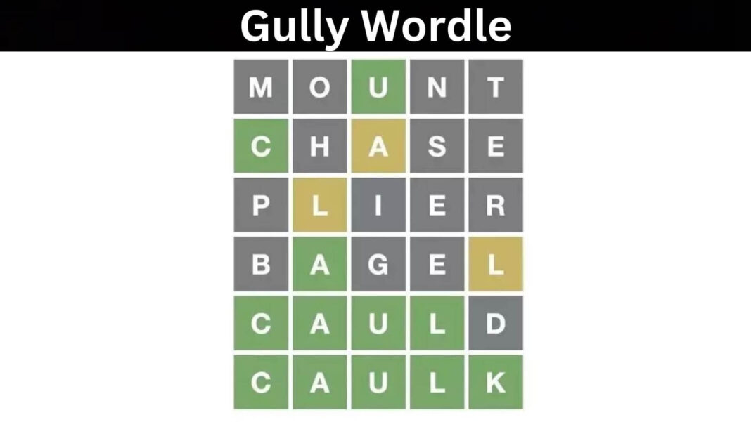 Gully Wordle