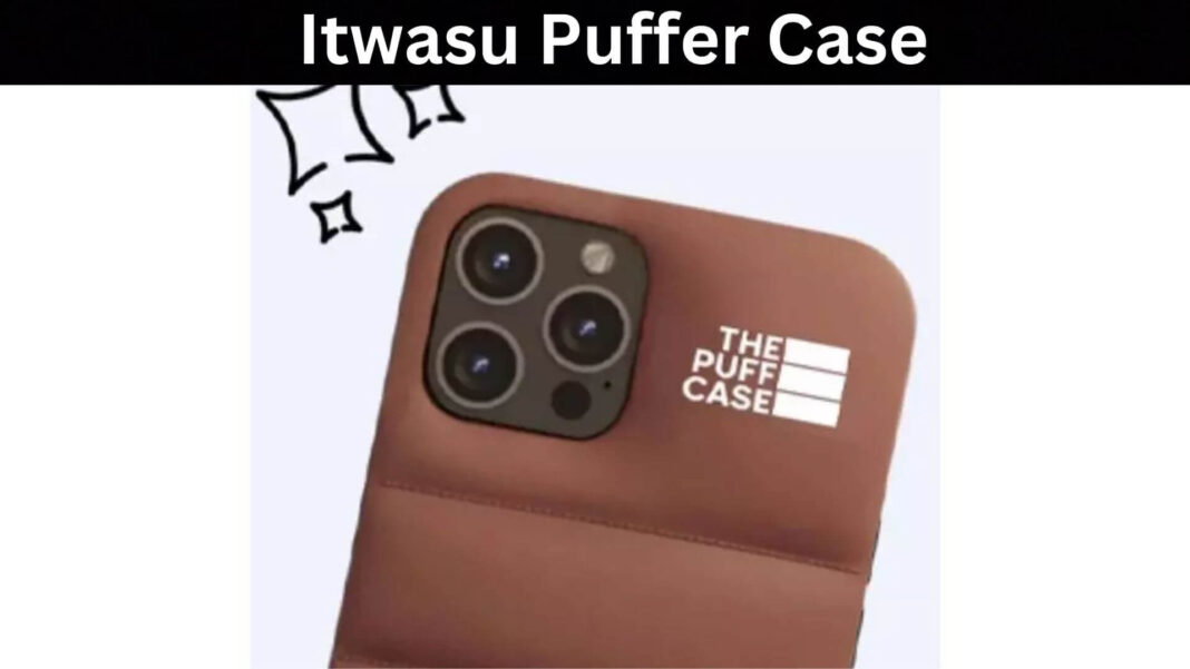 Itwasu Puffer Case