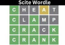 Scite Wordle