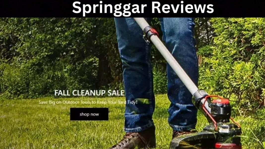 Springgar Reviews