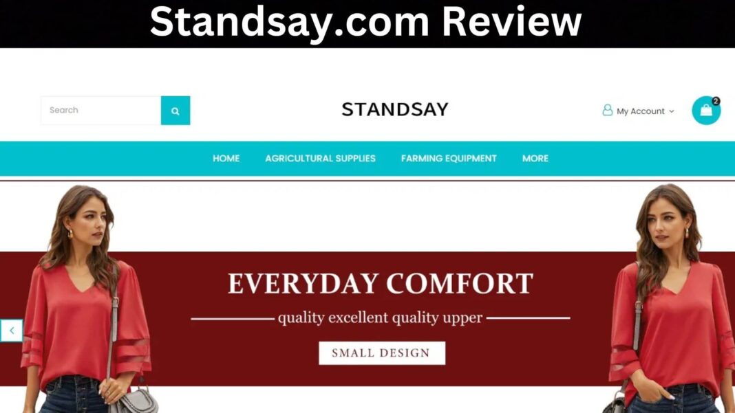 Standsay.com Review