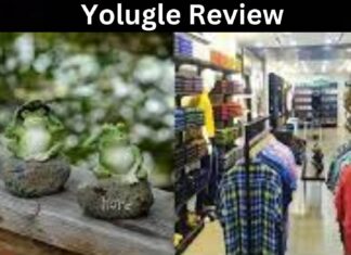 Yolugle.com website review
