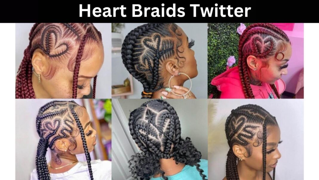 Heart Braids Twitter