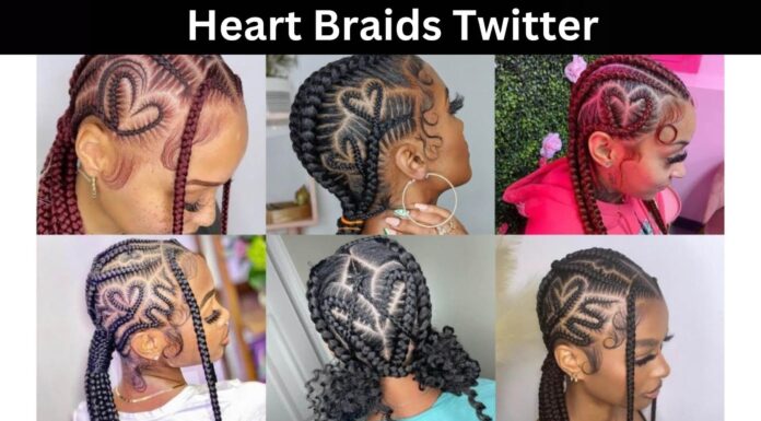 Heart Braids Twitter
