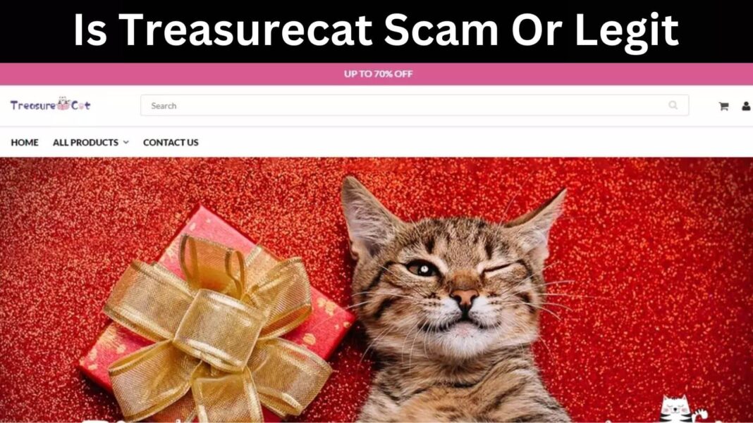 Is Treasurecat Scam Or Legit