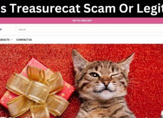 Is Treasurecat Scam Or Legit