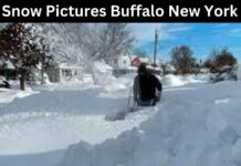 Snow Pictures Buffalo New York