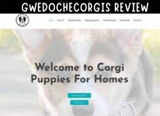 Gwedochecorgis Review